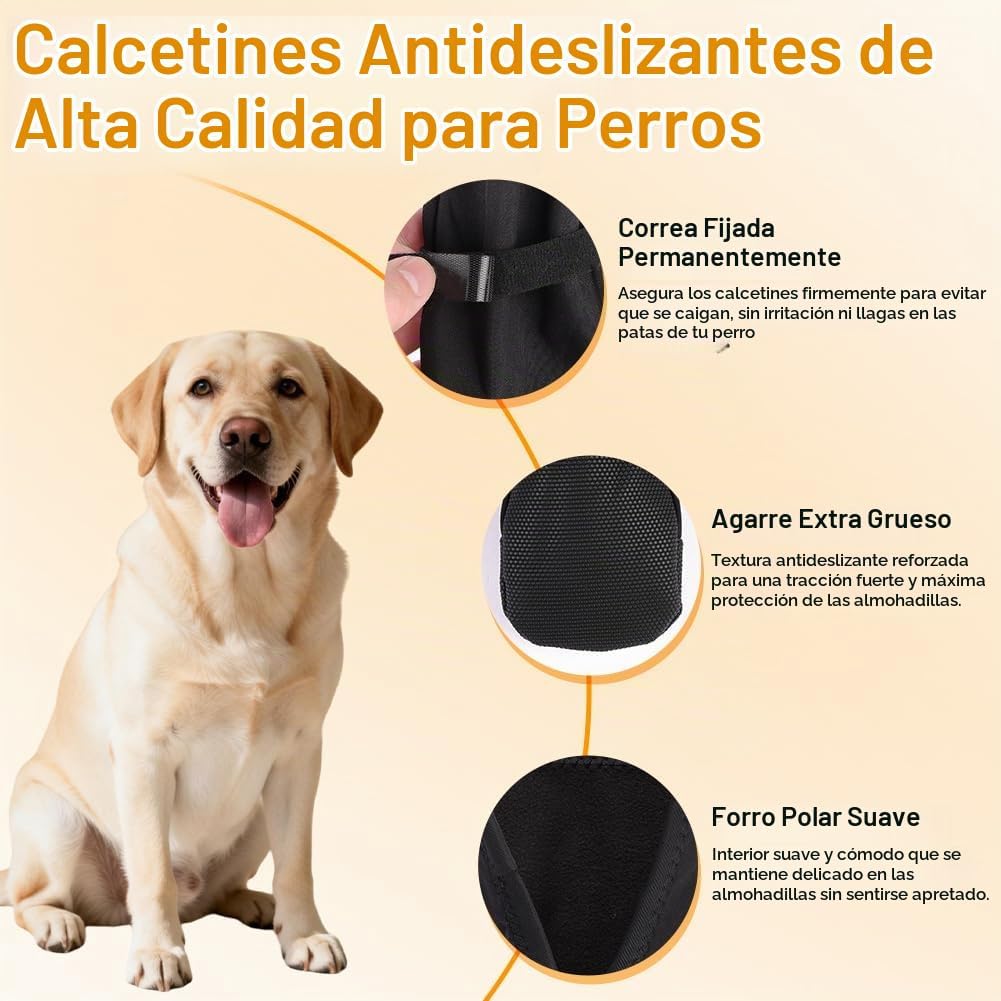 Botas impermeables para perros