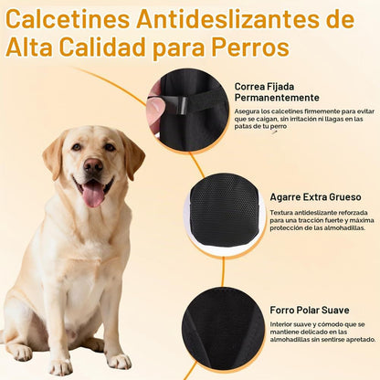 Botas impermeables para perros