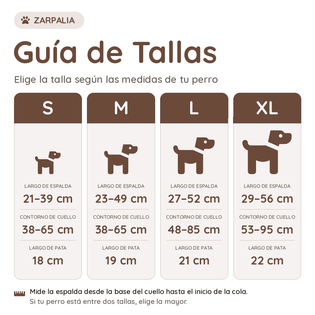 Botas impermeables para perros