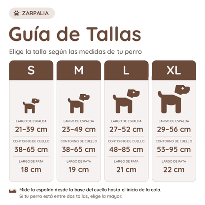 Botas impermeables para perros