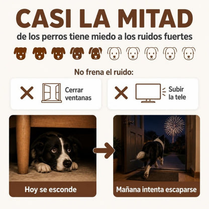 Casi la mitad de los perros tiene miedo a los ruidos fuertes