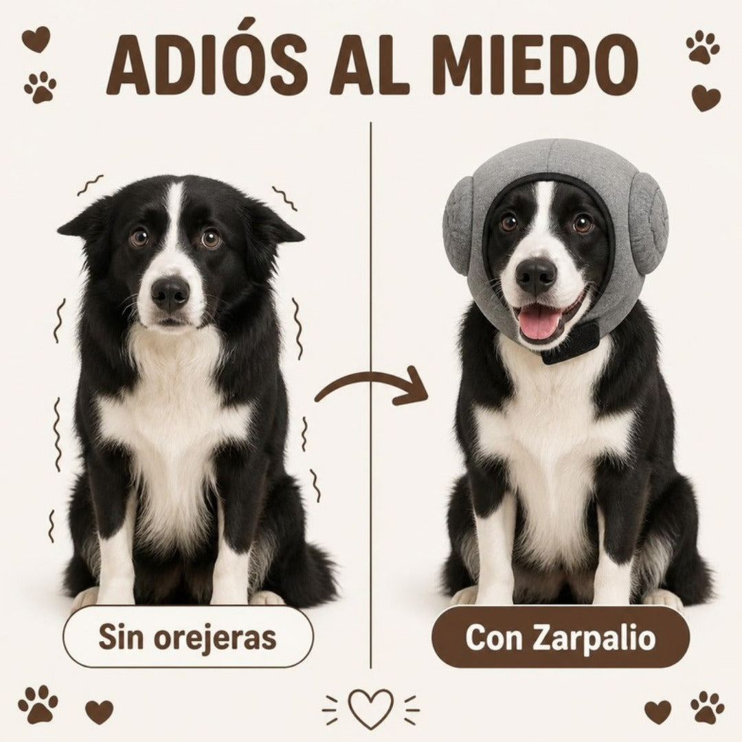 Antes y después: sin orejeras y con Zarpalio
