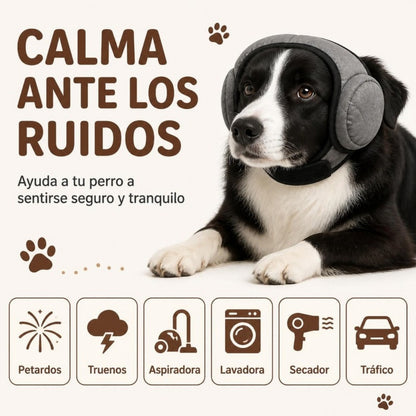 Calma ante los ruidos: petardos, truenos, aspiradora, lavadora, secador y tráfico