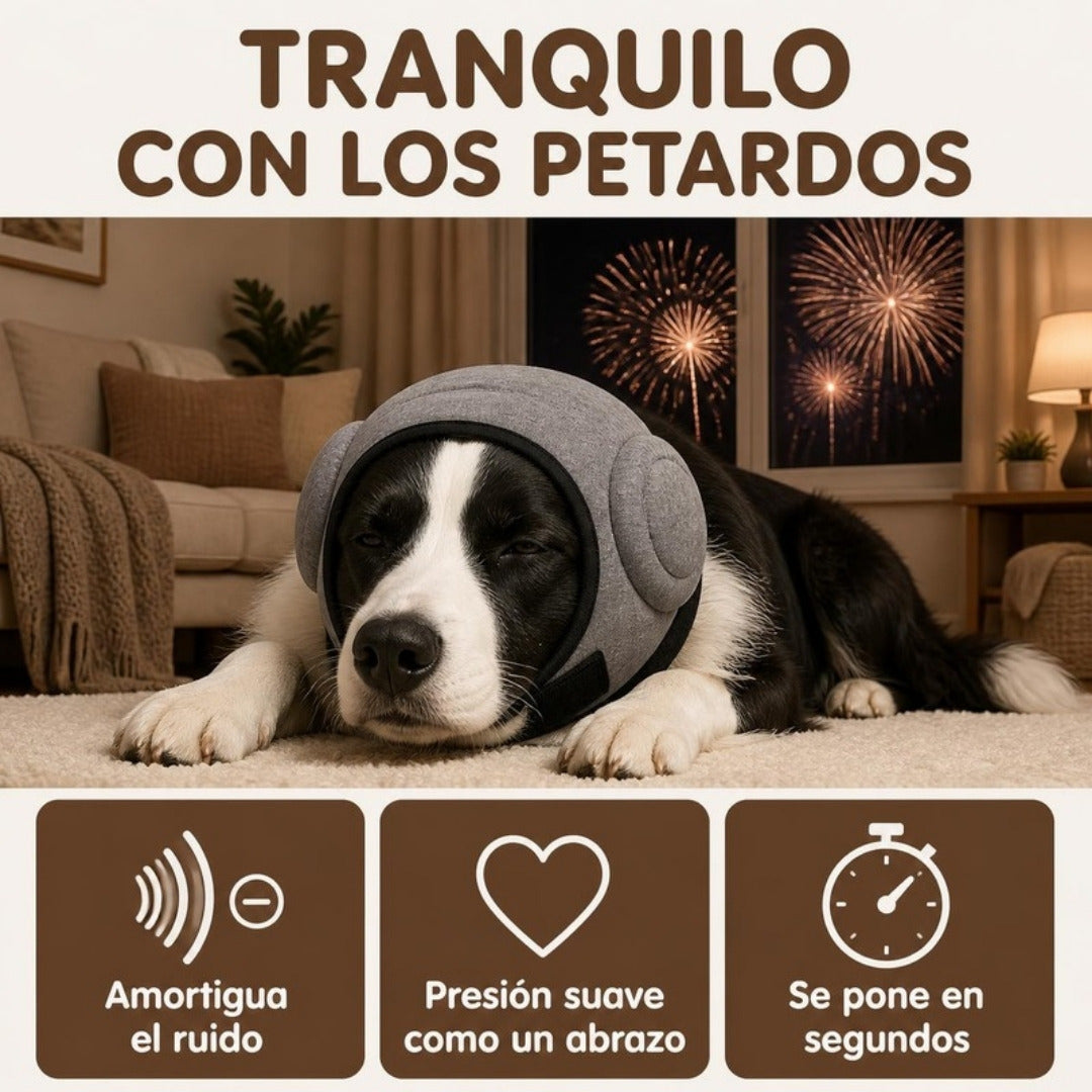 Perro tranquilo con las orejeras Zarpalio durante los petardos