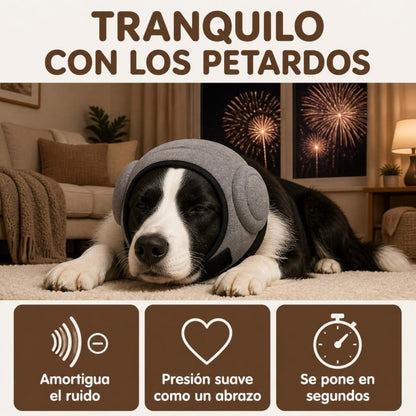 Perro tranquilo con las orejeras Zarpalio durante los petardos